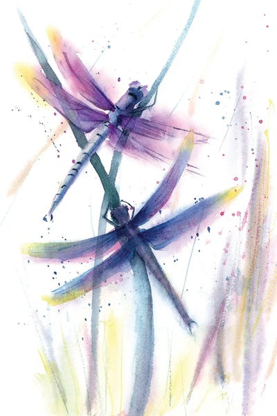 Dragonflies: Dragonflies by Olga Tchefranov