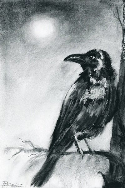 Ravens: Raven In Night by Olga Tchefranov