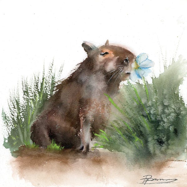 Capybara: Capybara's Blue Flower by Olga Tchefranov