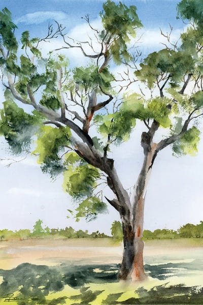 Majestic Tree Under The Sky by Olga Tchefranov canvas print