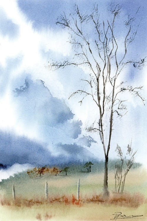 Winter's Whisper by Olga Tchefranov wall art