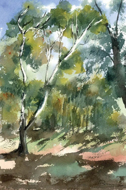 Forest Light Dance by Olga Tchefranov wall art