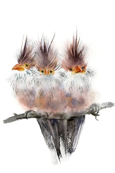 Lakehouse Décor: Fluffy Trio by Olga Tchefranov