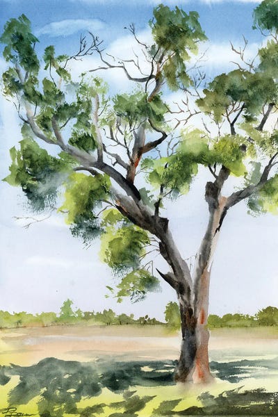 Majestic Tree Landscape by Olga Tchefranov canvas print