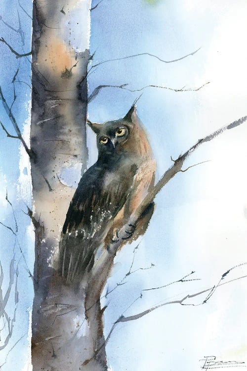 Silent Watcher by Olga Tchefranov wall art