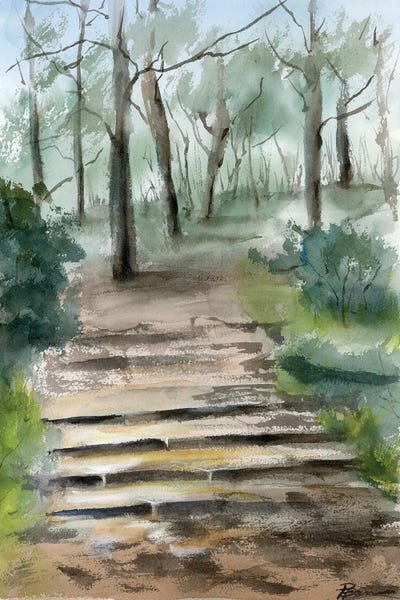 Forest Pathway by Olga Tchefranov canvas print