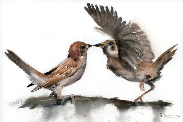 Fine Art Print: Morning Courtship by Olga Tchefranov