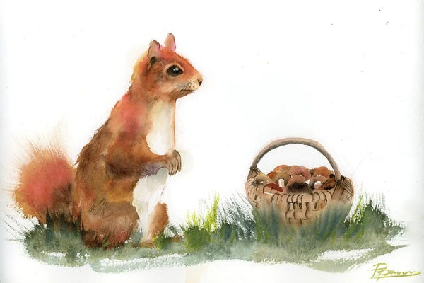 Squirrels: Mushroom Hunter by Olga Tchefranov