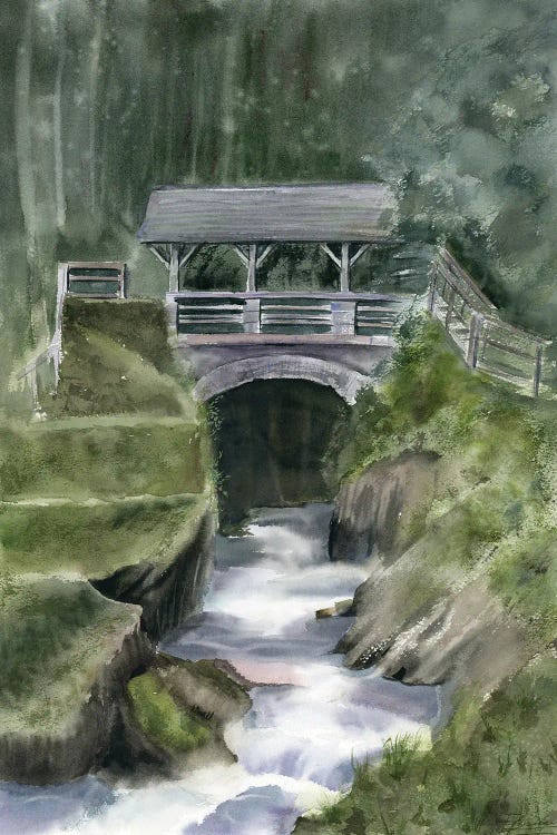 Waterfall Landscape (Sigmund Thun Gorge) by Olga Tchefranov wall art