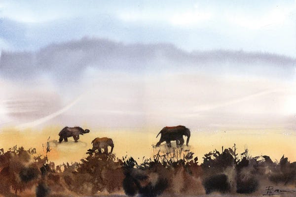 Evening Elephants