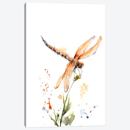 Dragonfly II Canvas Print #OTF1} by Olga Tchefranov Canvas Print