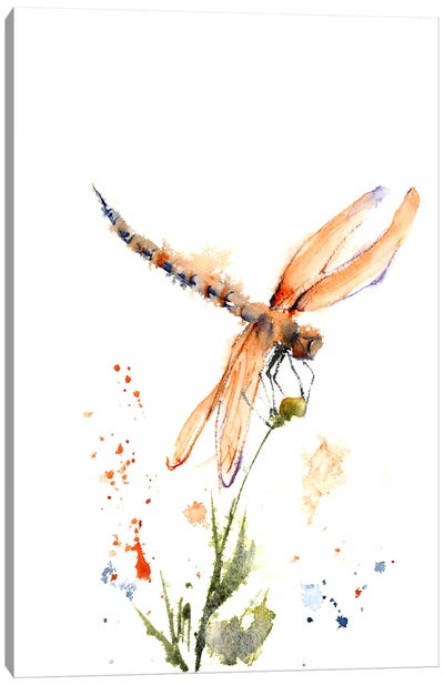 Dragonfly II Canvas Art Print - Dragonfly Art