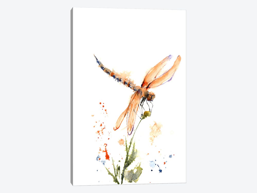 Dragonfly II by Olga Tchefranov 1-piece Canvas Art Print