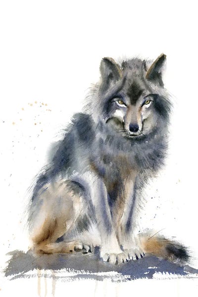 Wolves: Wolf by Olga Tchefranov