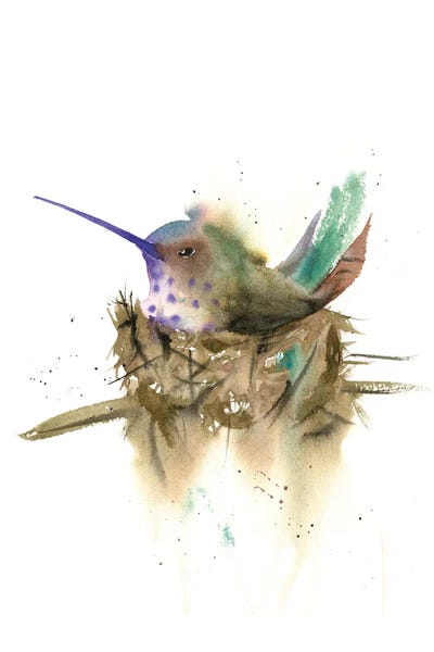 Hummingbirds: Hummingbird In Nest by Olga Tchefranov