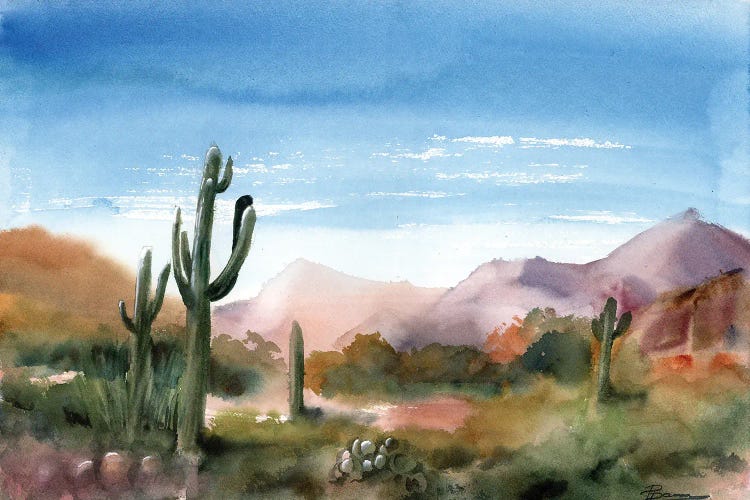 Saguaro Valley by Olga Tchefranov wall art