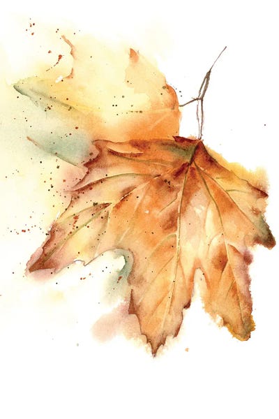 Fine Art Print: Leaf by Olga Tchefranov