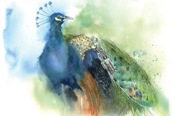 Fine Art Print: Peacock by Olga Tchefranov
