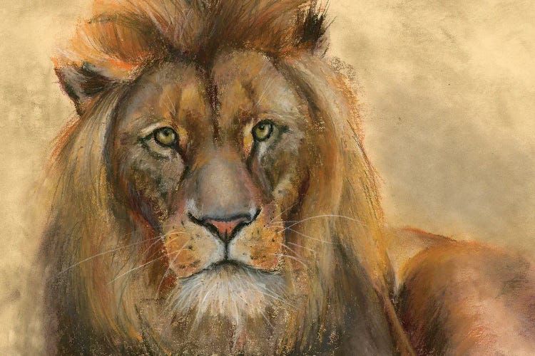 Lion- Front by Olga Tchefranov wall art