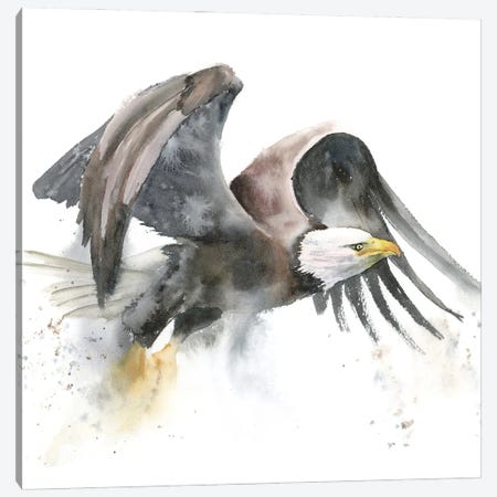 Eagles I Canvas Print #OTF21} by Olga Tchefranov Canvas Wall Art
