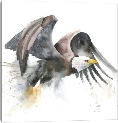 Eagles I Canvas Art Print - Eagle Art