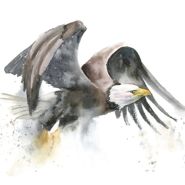 Lakehouse Décor: Eagles I by Olga Tchefranov