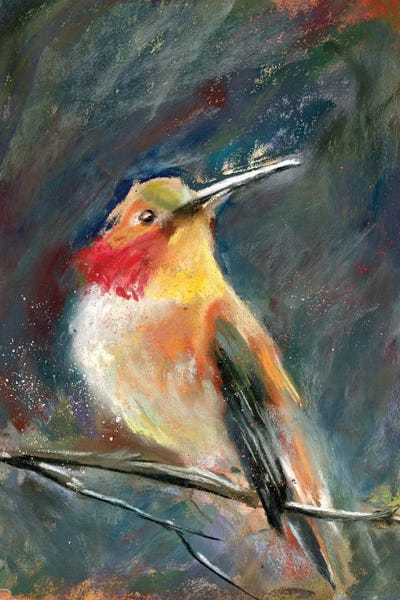 Hummingbird On The Branch by Olga Tchefranov art print