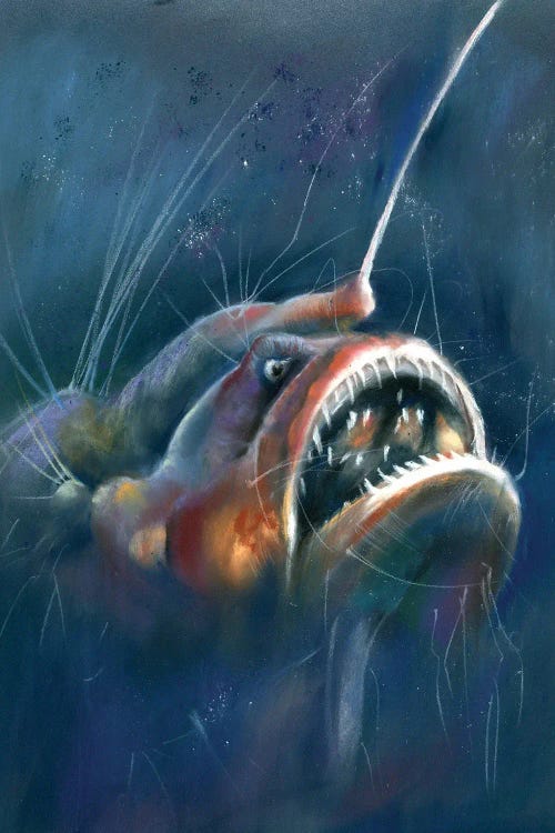 Anglerfish by Olga Tchefranov wall art