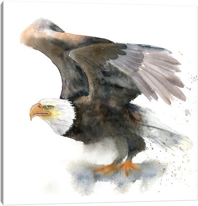 Eagles Canvas Art Print - Olga Tchefranov