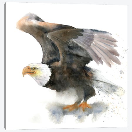 Eagles Canvas Print #OTF22} by Olga Tchefranov Canvas Artwork