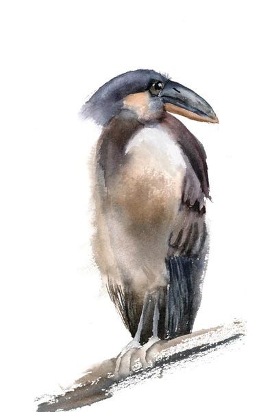 Funny Bird