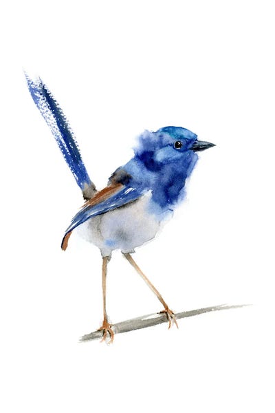 Lakehouse Décor: Wrens I by Olga Tchefranov