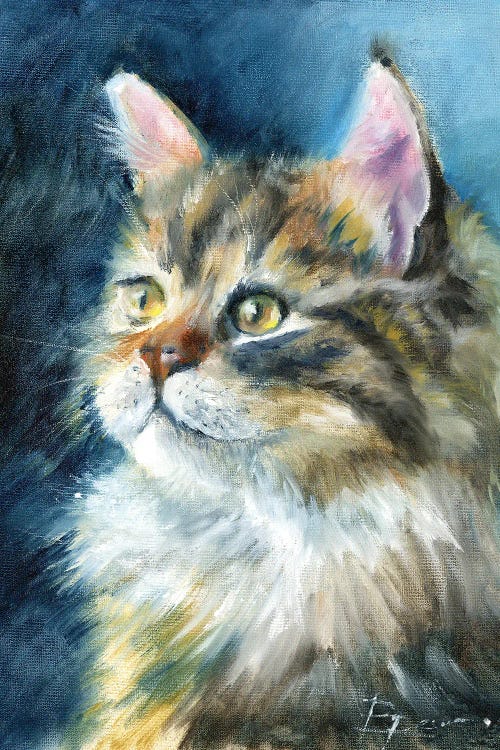 Olga Tchefranov: Majestic Longhair Cat by Olga Tchefranov