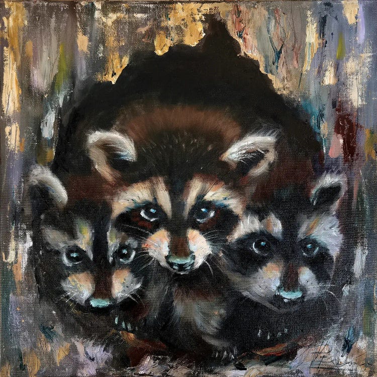 Raccoon Family