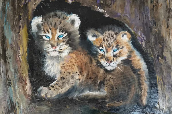 Lynx: Lynx Cubes by Olga Tchefranov