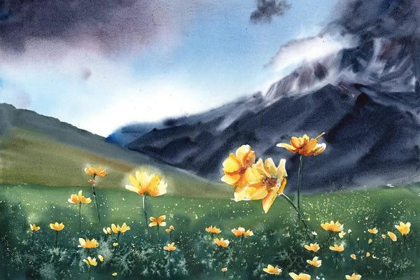 Olga Tchefranov: Golden Field by Olga Tchefranov