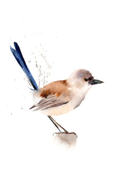 Lakehouse Décor: Wrens III by Olga Tchefranov