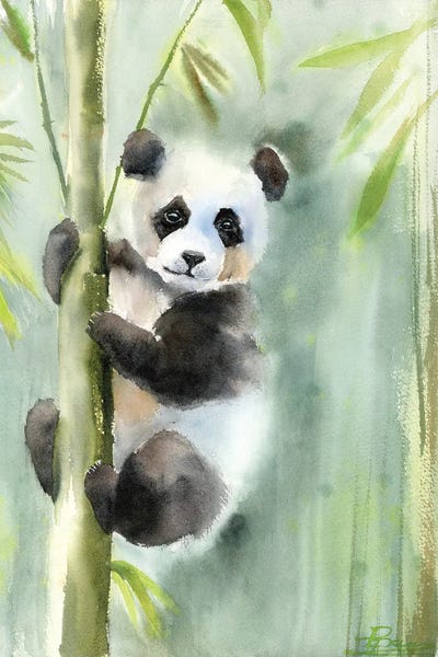 Koala On The Tree
