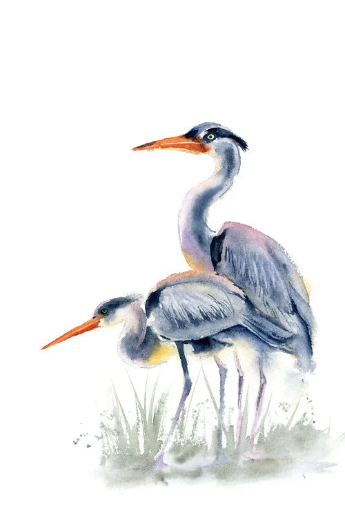 Herons