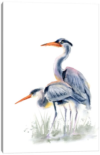 Herons Canvas Art Print - Great Blue Heron Art