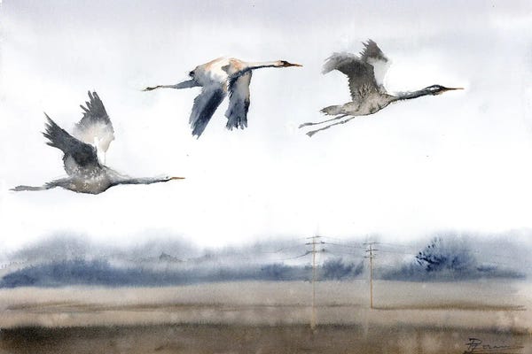 Flight Of The Cranes