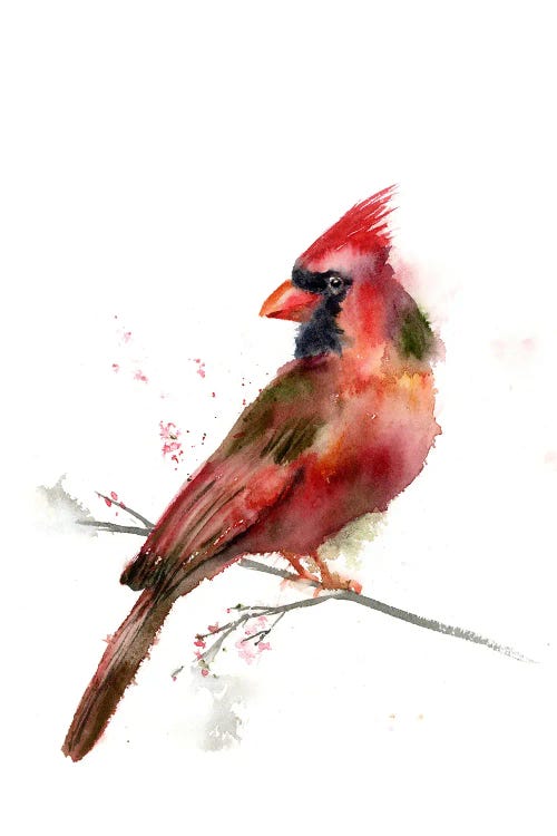 Cardinal