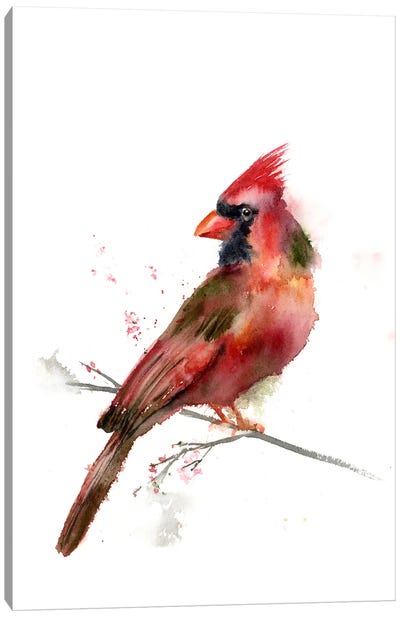 Cardinal Canvas Art Print - Olga Tchefranov
