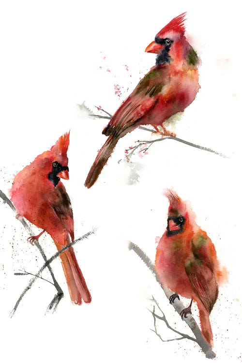 Cardinals I