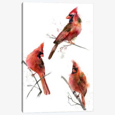 Cardinals I Canvas Print #OTF28} by Olga Tchefranov Canvas Wall Art