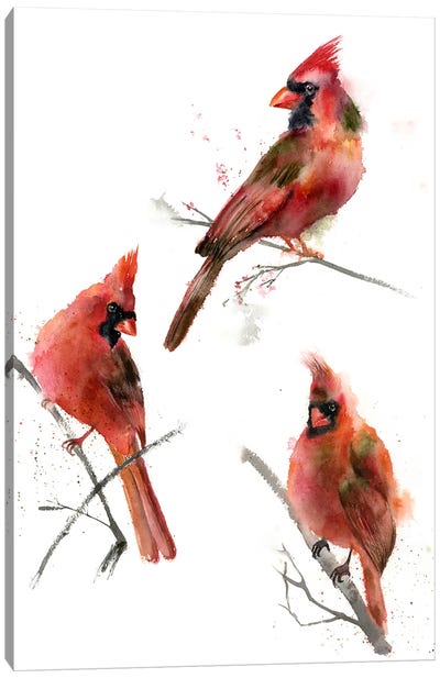 Cardinals I Canvas Art Print - Olga Tchefranov