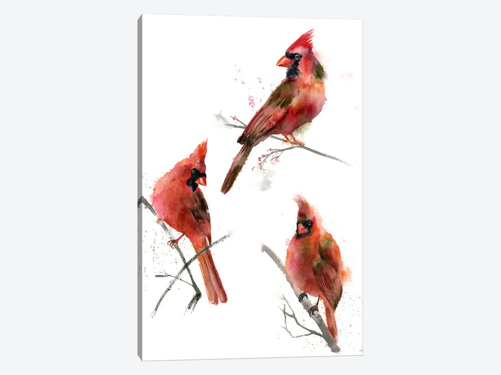 Cardinals I by Olga Tchefranov 1-piece Canvas Art