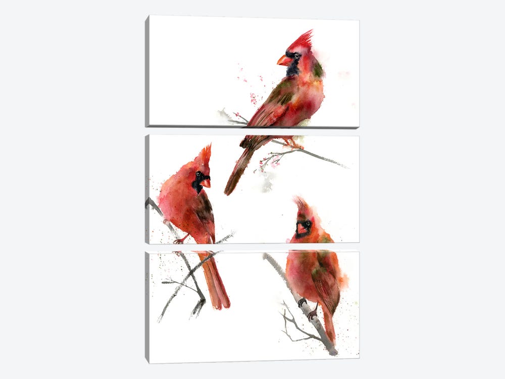 Cardinals I by Olga Tchefranov 3-piece Canvas Art