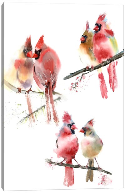 Cardinals II Canvas Art Print - Olga Tchefranov