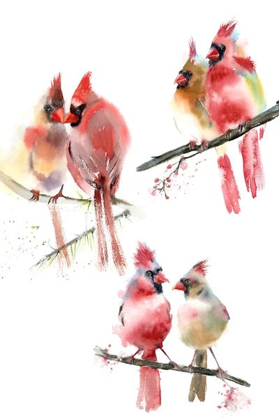 Cardinals: Cardinals II by Olga Tchefranov